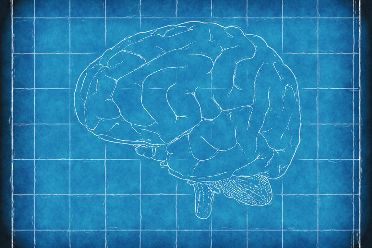 Brain Area Linked to Bipolar Disorder Found